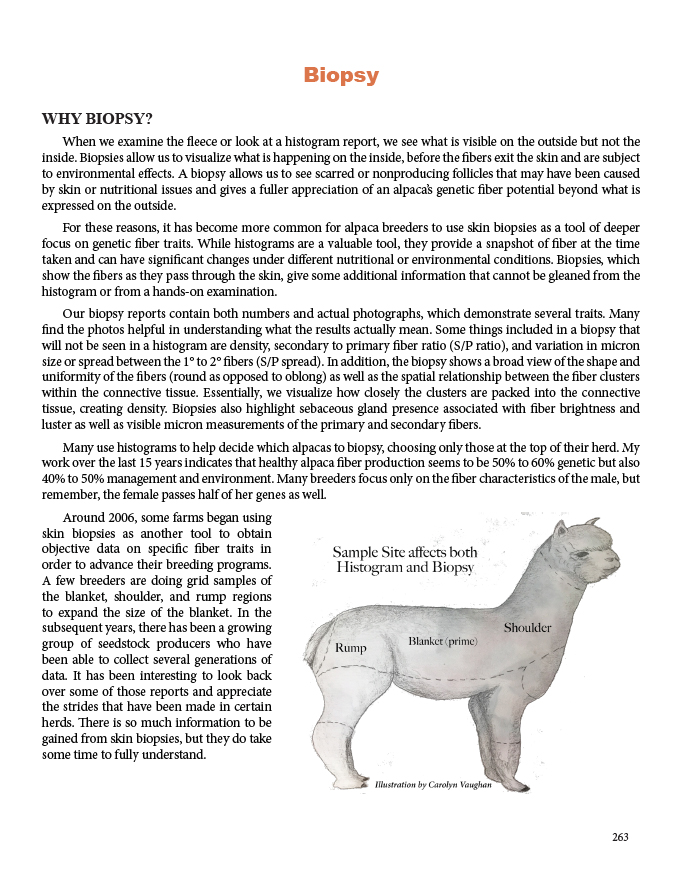 Alpaca Veterinary Field Manual – Carolyn Vaughan Designs
